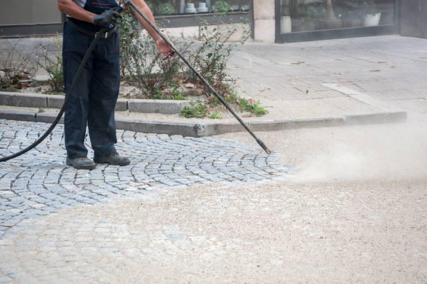 Best Driveway Pressure Washing  in Ashland, AL